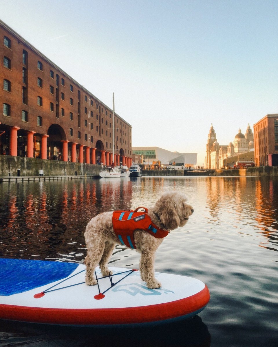 Gliding into the new year! 🐾 📍: Liverpool; Merseyside; England📸: VisitBritain/Kathryn Ramsden