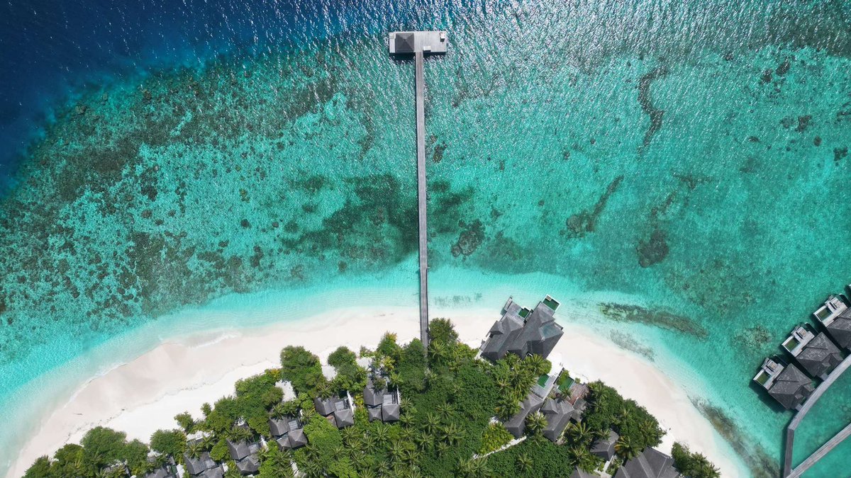 ameera_suvadive's tweet photo. Habibi, come to Maldives π²π»
#maldives
#visitmaldives
#leadingdestination
#sunnysideoflife
#paradiseonearth https://t.co/wItNvRiVn0