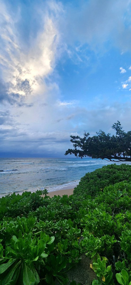 JeanCarloFs's tweet photo. Gracias a la vida... ❤️
#Hawaii https://t.co/kWkV9TRjMH