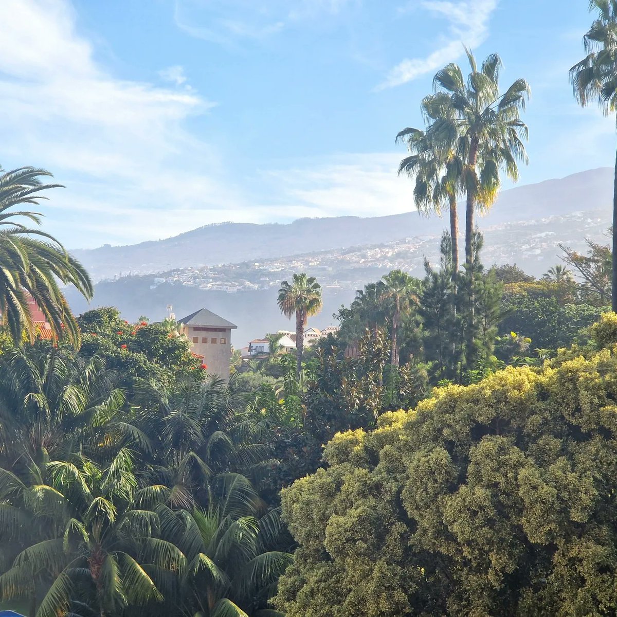 Margaret Smith tweet media