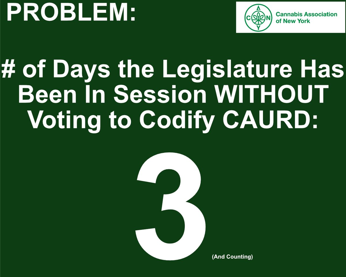 Cannabis Association of New York tweet media