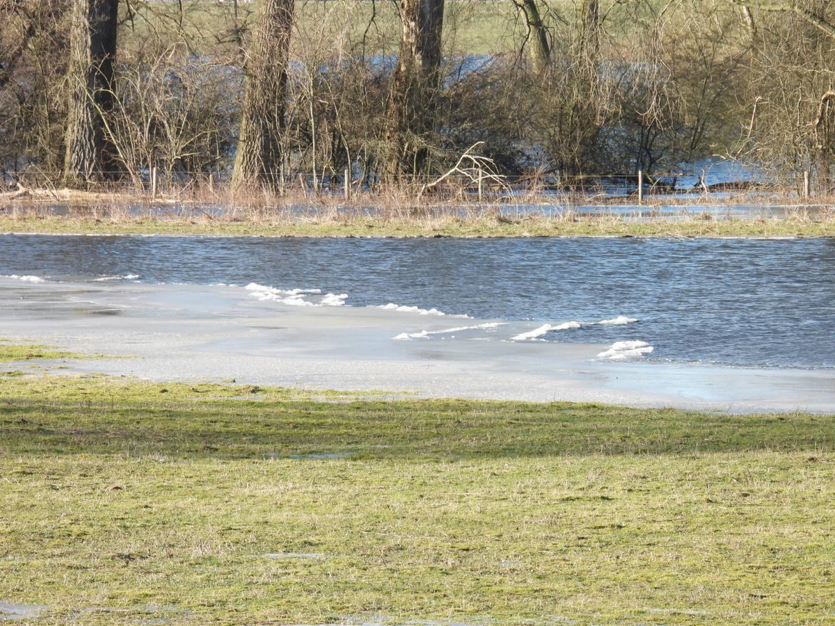 Kittydabunik's tweet photo. #ijzig #koud #water is zakkend , da leet mooie #ijsklontjes achter 😄 https://t.co/wCYVyMqBYX