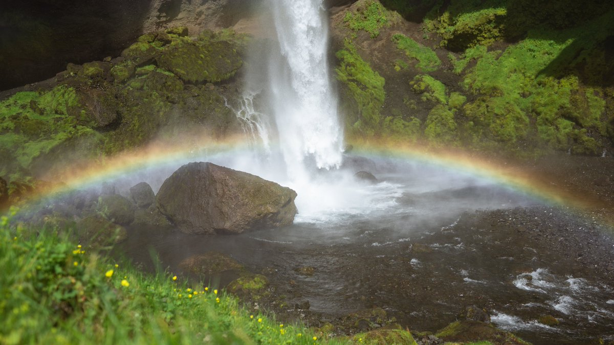 jayanthonyolson's tweet photo. Wandering in dreamland. https://t.co/L7poNku6vC