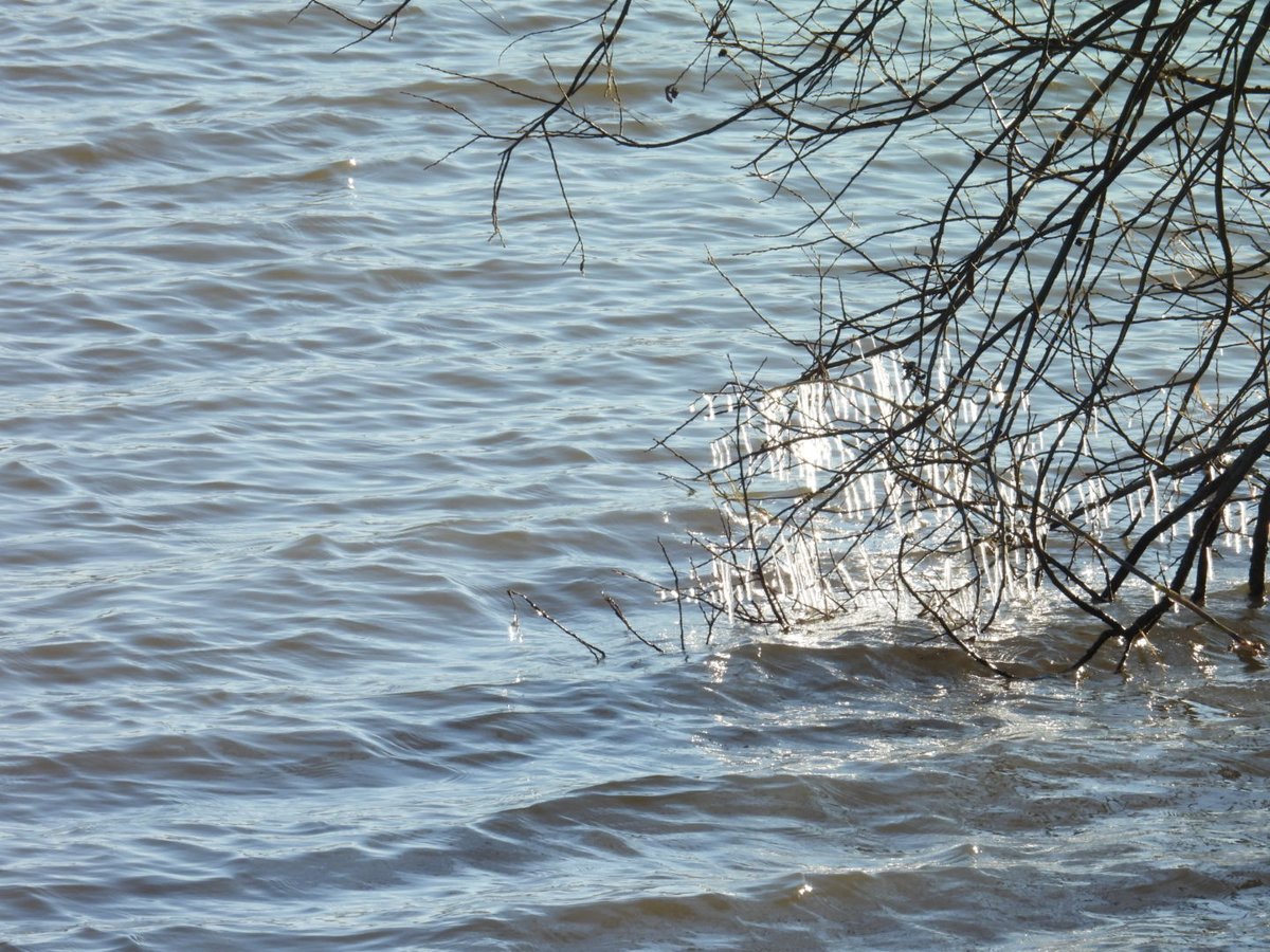 Kittydabunik's tweet photo. #ijzig #koud #water is zakkend , da leet mooie #ijsklontjes achter 😄 https://t.co/wCYVyMqBYX