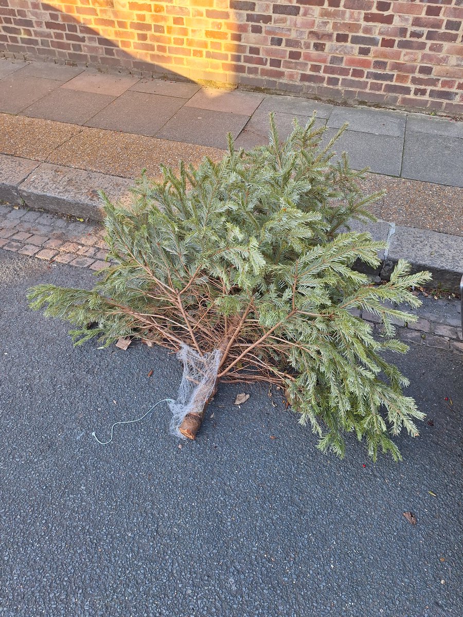 #tooting #Rasta #cycleclub

tooting #newsflash 

illegally parked #christmastree found in #brendaroad 

please take care people it's #christmastreemageddon out there 

#peace and #love
❤️💛💚