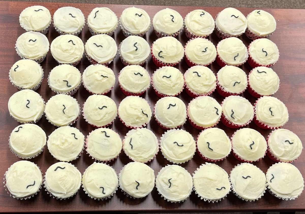 Michael P Hart 🏳️🌈 tweet media