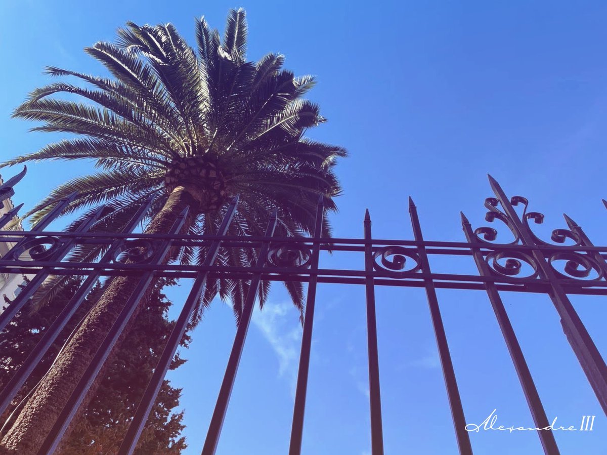 HotelAlexandre3's tweet photo. That’s life.
#thatslife #cotedazurfrance #cannes2024 #cannessoleil #maville #monquartier https://t.co/aqFNV9jaQa