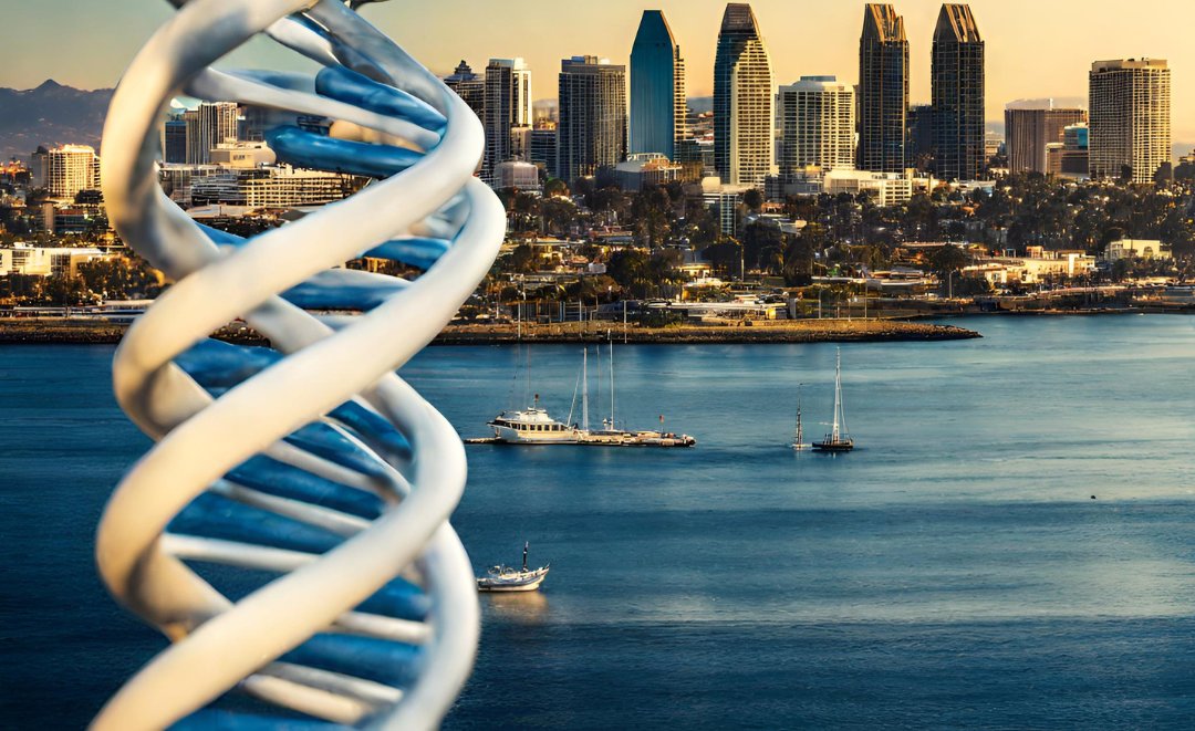 BioinfoCRO's tweet photo. We're attending #PAG31 January 13th - 17th in San Diego! Justin Duplantis will be manning Booth 429 for us in the exhibit hall. Contact Justin on LinkedIn at https://t.co/JduM4DuxLy or by email at justin@bioinformaticscro.com to find a time to meet. https://t.co/qrVoahxKwh