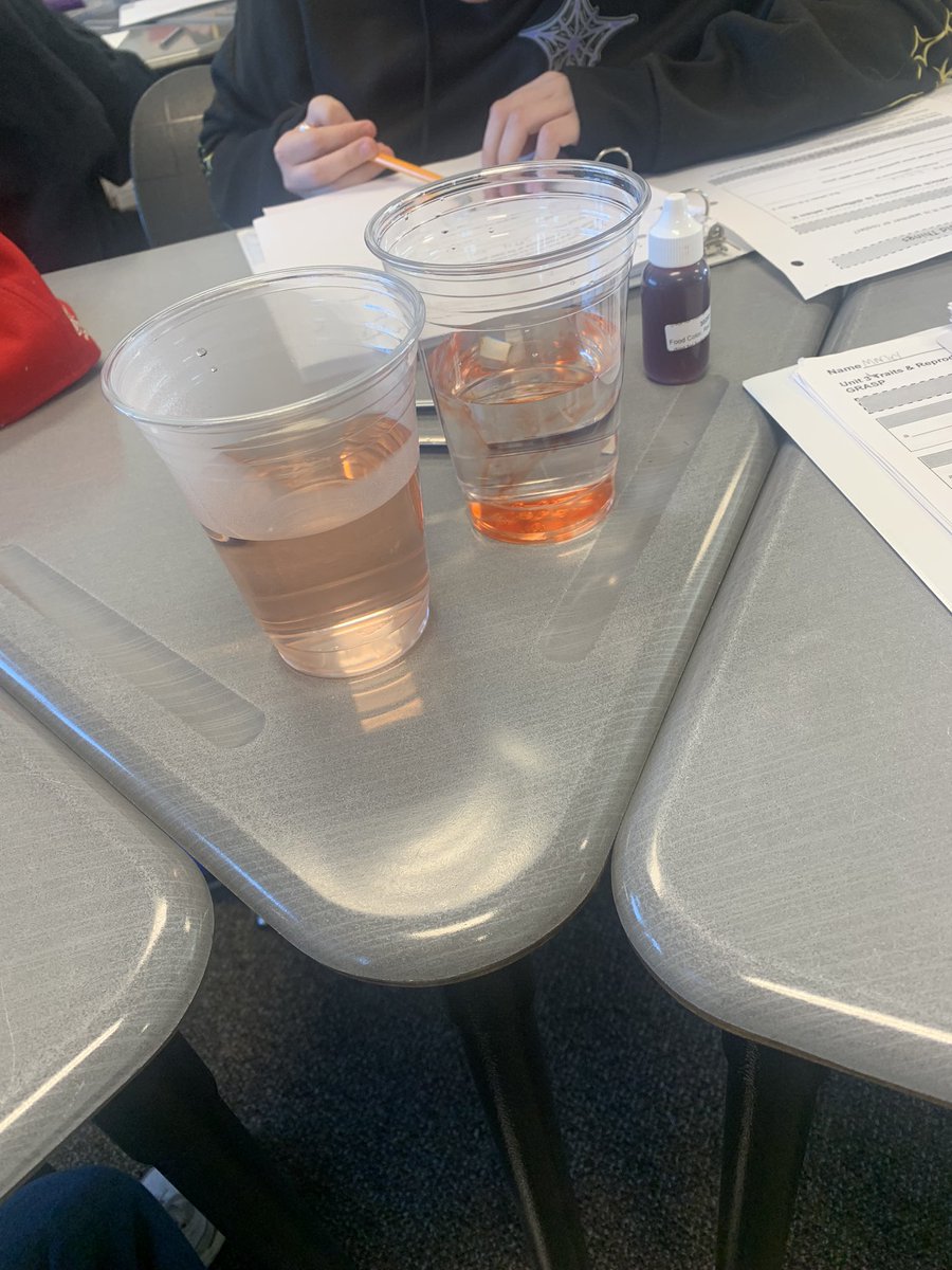 Our SCIA IB science scholars started off our 2nd semester strong with a lab to explore the properties of hot and cold water. #BurtonExperience #secondary #sciabears #RiseUp #IBMYP #Science