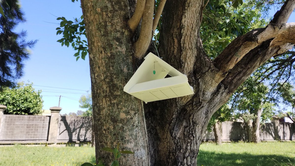 SenasaAR's tweet photo. Puertos de Buenos Aires y  La Plata. 
Trabajamos para prevenir el ingreso de Lymantria dispar, una plaga cuarentenaria ausente en la Argentina que afecta a frutales y forestales.
Colocamos trampas e inspeccionamos cargas en ambos puertos para detectar la presencia de esta plaga. https://t.co/PhMG6S7aHe