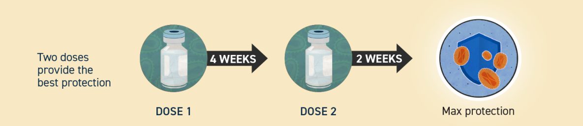 HealthCouncilSF's tweet image. #Mpox vaccines are free of cost and effective at protecting you from mpox. 2 doses provide the best protection. Get dose 1, wait 4 weeks, then get dose 2. Maximum protection is after two weeks of dose 2.
Read more about the vaccine at cdc.gov/.../vacc.../va…