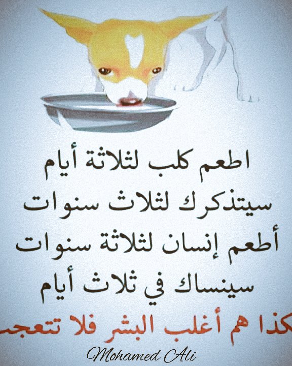 هذا هي الحقيقة
