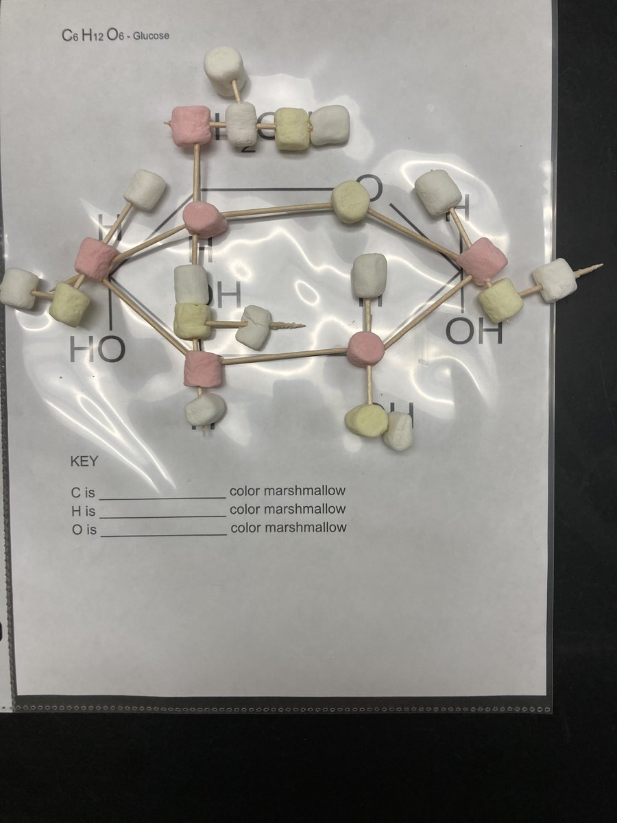 HortzScience's tweet photo. A Day with BIO-Chemistry making Glucose models with Toothpicks and Marshmallows.  @GreeceCentral @GreeceArcadia @GCSDsuper https://t.co/Y38reLczRZ