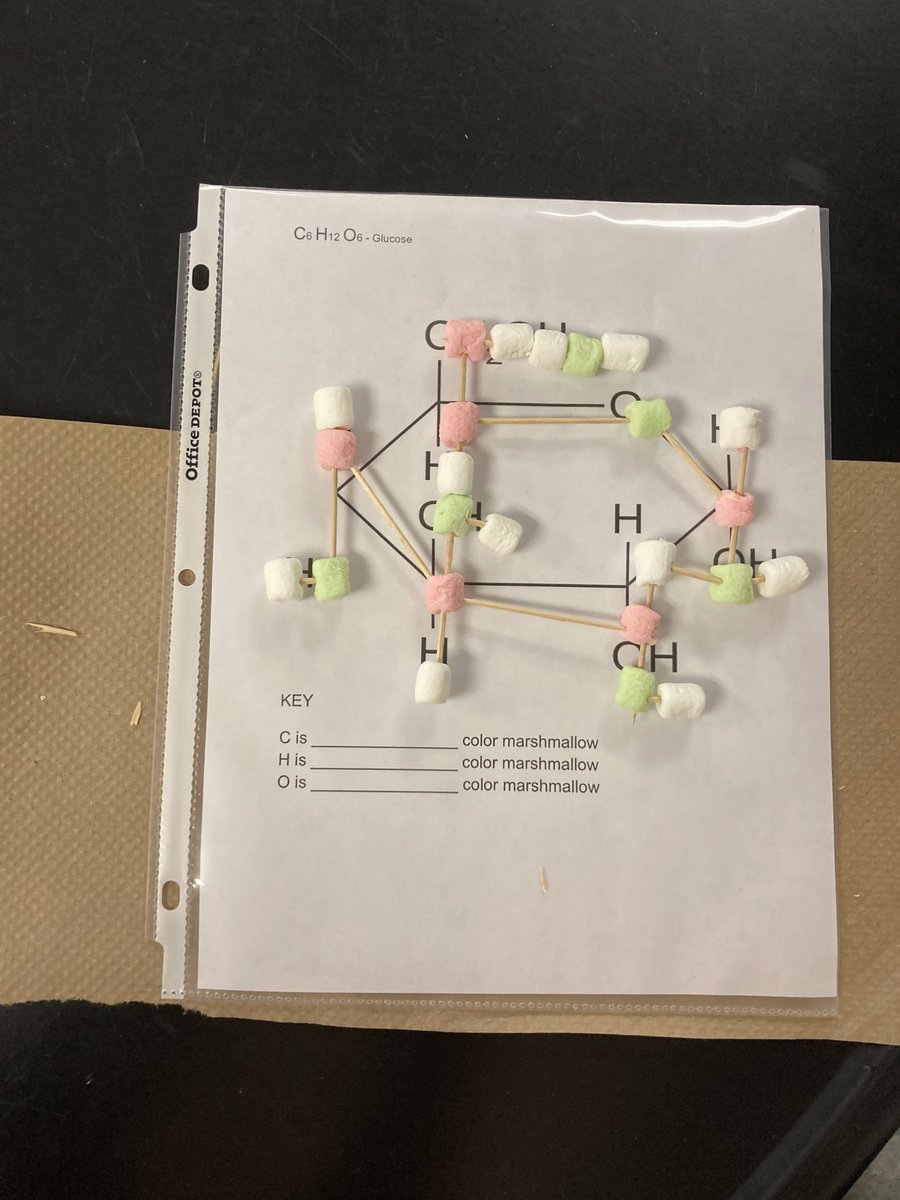 HortzScience's tweet photo. A Day with BIO-Chemistry making Glucose models with Toothpicks and Marshmallows.  @GreeceCentral @GreeceArcadia @GCSDsuper https://t.co/Y38reLczRZ
