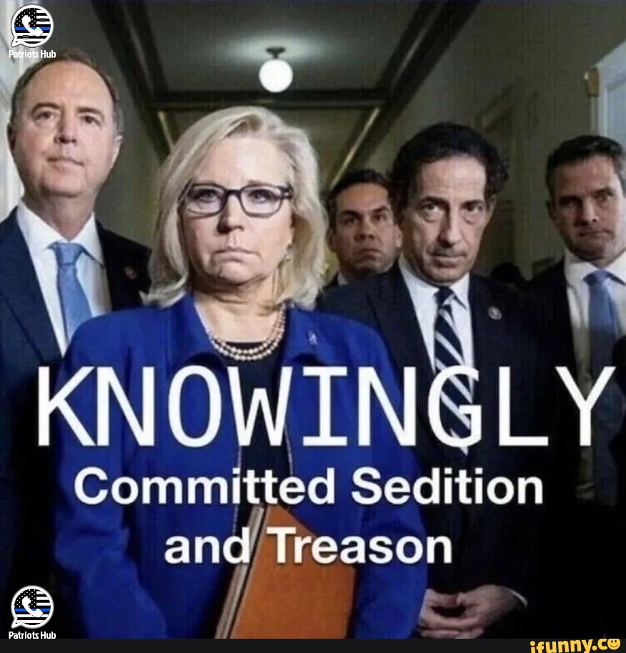 MikeWil35911901's tweet image. #knowingly #committed #sedition 
ifunny.co/picture/E184l8…
#iFunny