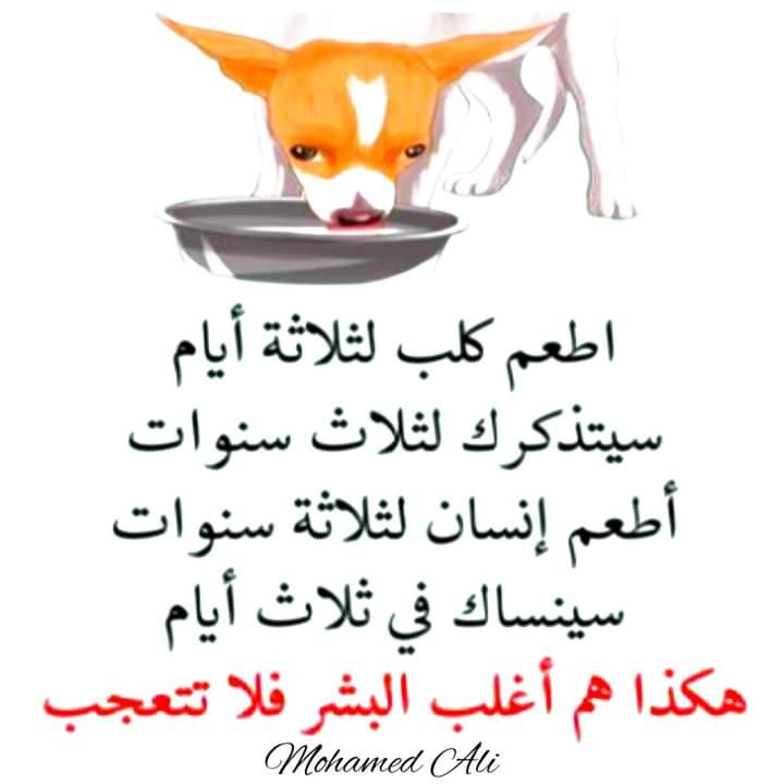 هذا هي الحقيقة