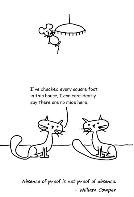 Tests explained 👇