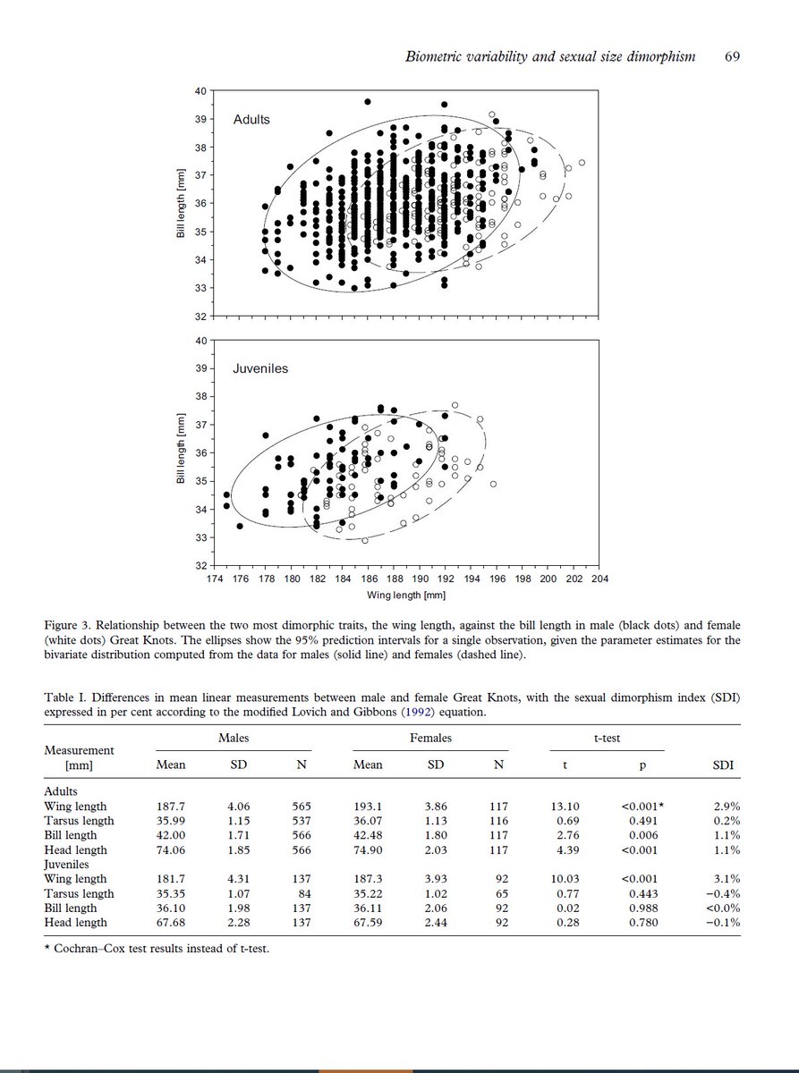 GlobalFlyway's tweet photo. Female great #knots #Calidris tenuirostris are bigger than males, but not by so much! Here is an analysis of sexual differences in body size based on a sample from Kamchatka molecularly sexed, the methodological gold standard. #OpenAccess European Journal of Zoology. #bodysize https://t.co/4OkgvwFziB
