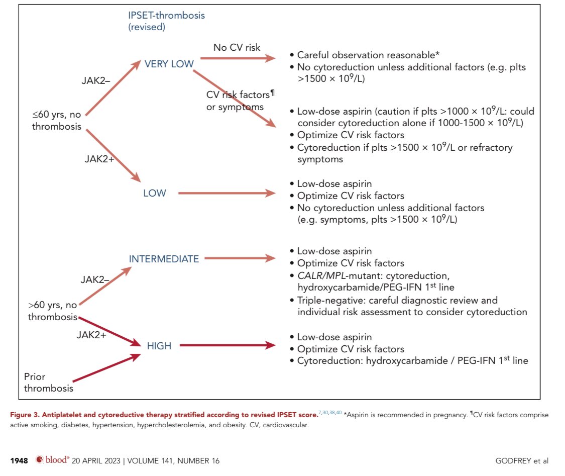 Essential thrombocythemia: challenges in clinical practice and future prospects (2023).