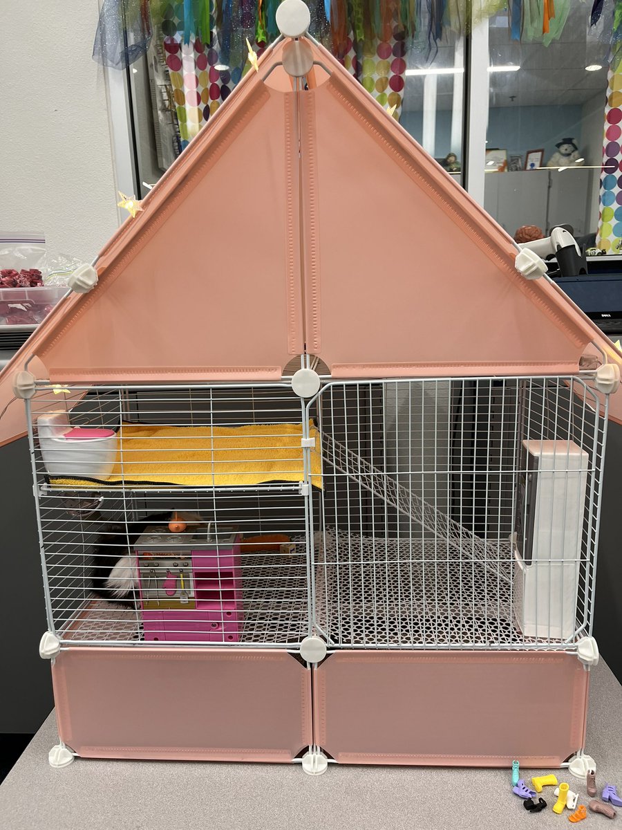 Nancy Hale tweet media