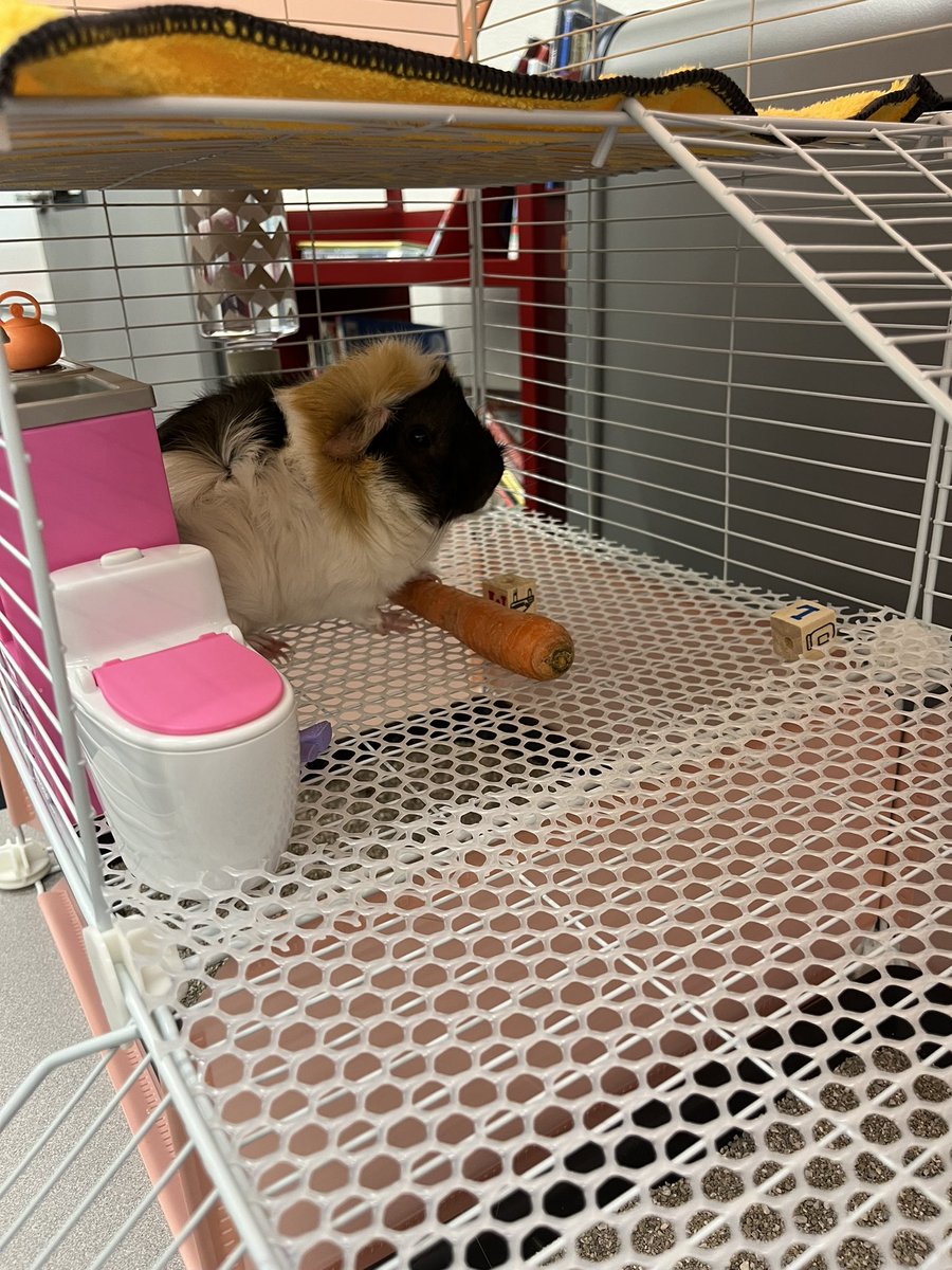 Nancy Hale tweet media