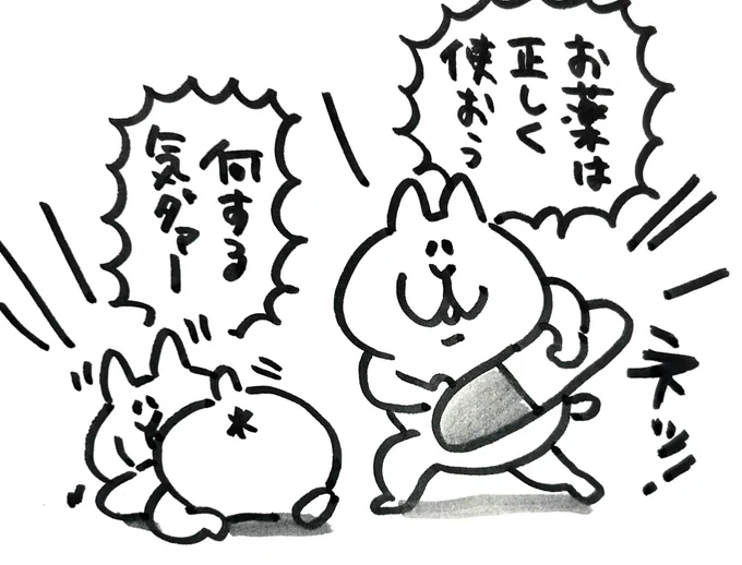 お薬のめたね 