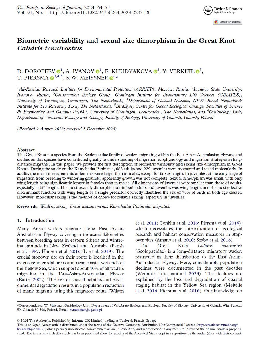 GlobalFlyway's tweet photo. Female great #knots #Calidris tenuirostris are bigger than males, but not by so much! Here is an analysis of sexual differences in body size based on a sample from Kamchatka molecularly sexed, the methodological gold standard. #OpenAccess European Journal of Zoology. #bodysize https://t.co/4OkgvwFziB