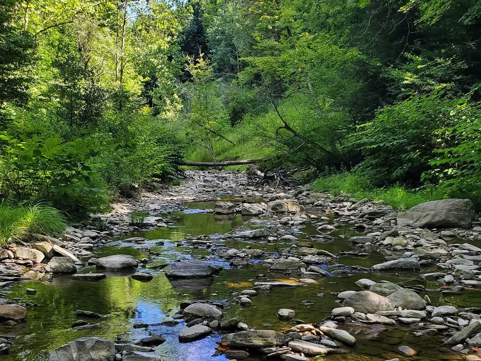 TimberlandReal1's tweet photo. Price Reduced! New York wooded land with timber, trout stream and buildings for sale. Contact Brian Bullard (716) 499-5608. 

https://t.co/K5SQ3uFZHN

#huntingland #recreationalland #Timberland #Creek #LivingstonCounty https://t.co/Bsp1retK0H
