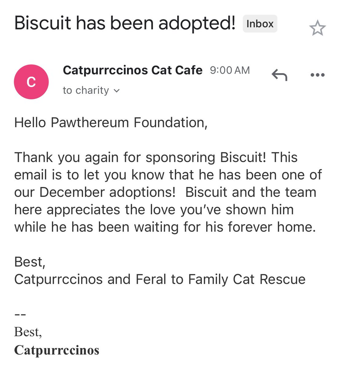 pawthereum's tweet photo. Great news: Biscuit has been adopted!

Biscuit is 1 of 3 cats sponsored by the Pawthereum community this holiday season from @catpurrccinos!

Join the community to help shape the next donation!

Read more about the story of the Catpurrccinos sponsorship vote below 👇 https://t.co/hoL75YdRZK