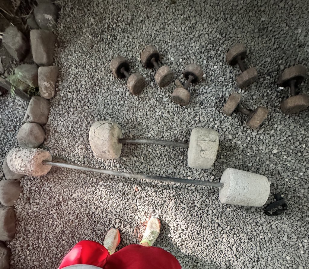 John Fio tweet media