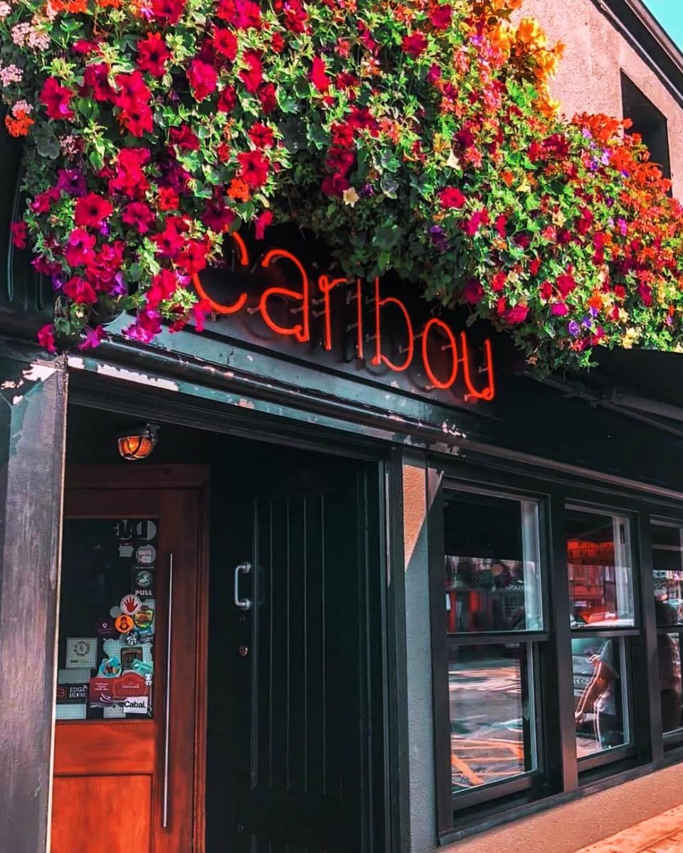 It's the final week of our beloved Caribou 😥💔 We are heartbroken as one of our favourite bars in Galway will be closing on Saturday 13th so make sure you get in for your final fix over the next few days!