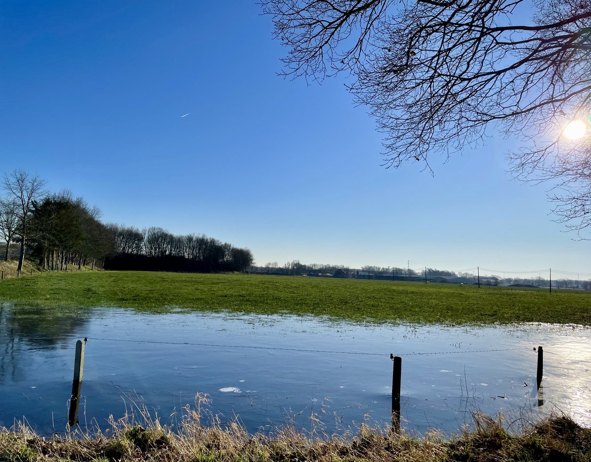 EddyMisman's tweet photo. #vrtweer @HetweerinBelgie Beernem 12u40 #tempotraining 🏃♂️ fris aan de 🐟🥶 https://t.co/rvRVOiQyHT