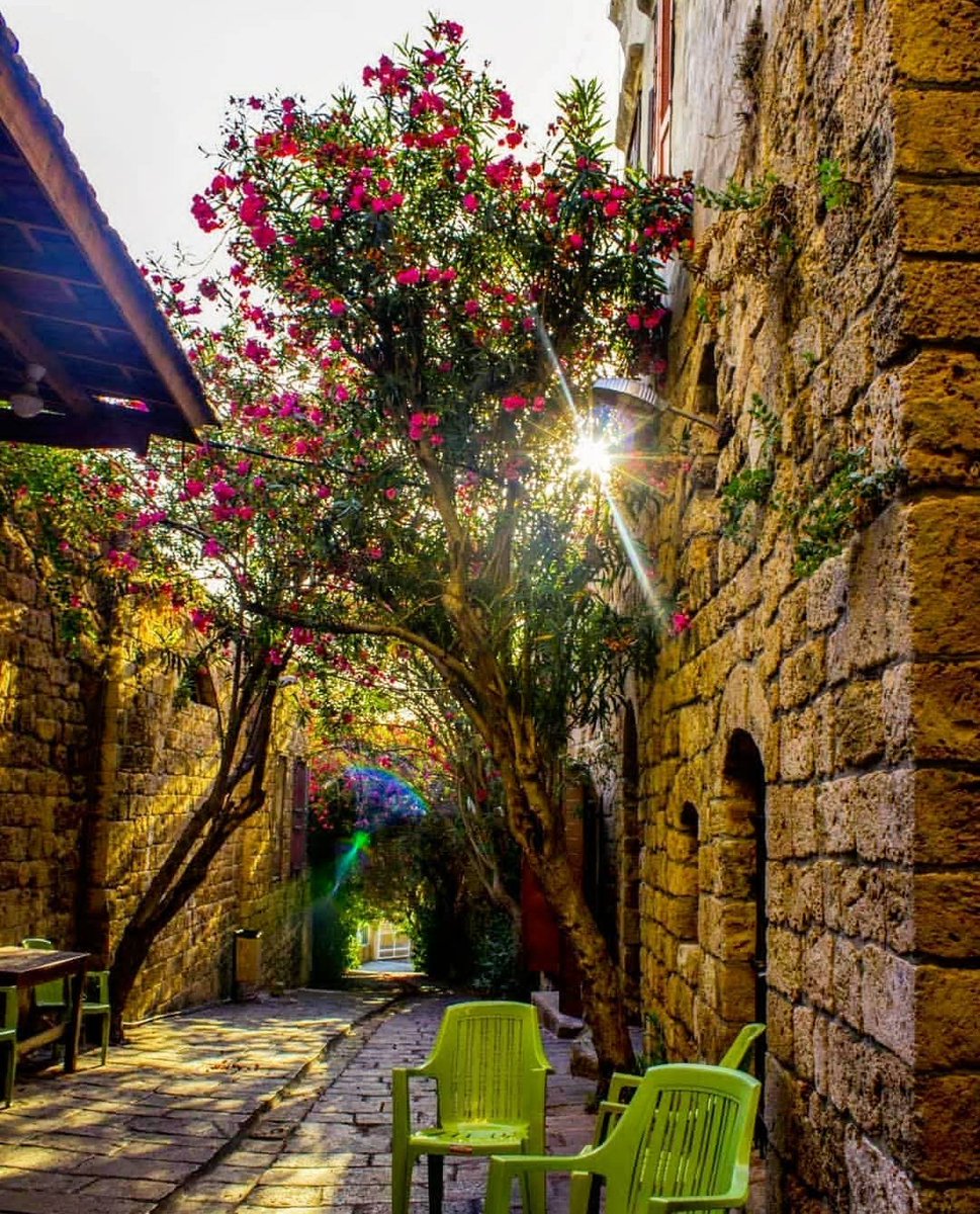 amira_obeid's tweet photo. Byblos, Lebanon 🩷🌸 https://t.co/tl5EkBEbef