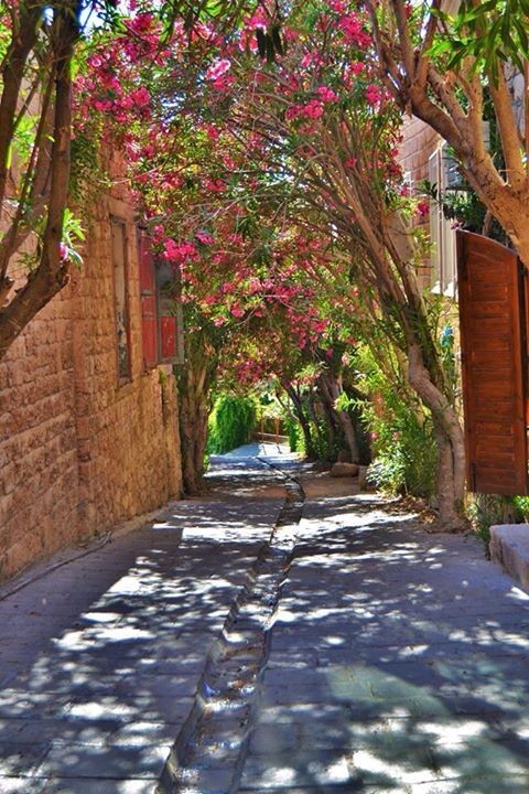 amira_obeid's tweet photo. Byblos, Lebanon 🩷🌸 https://t.co/tl5EkBEbef