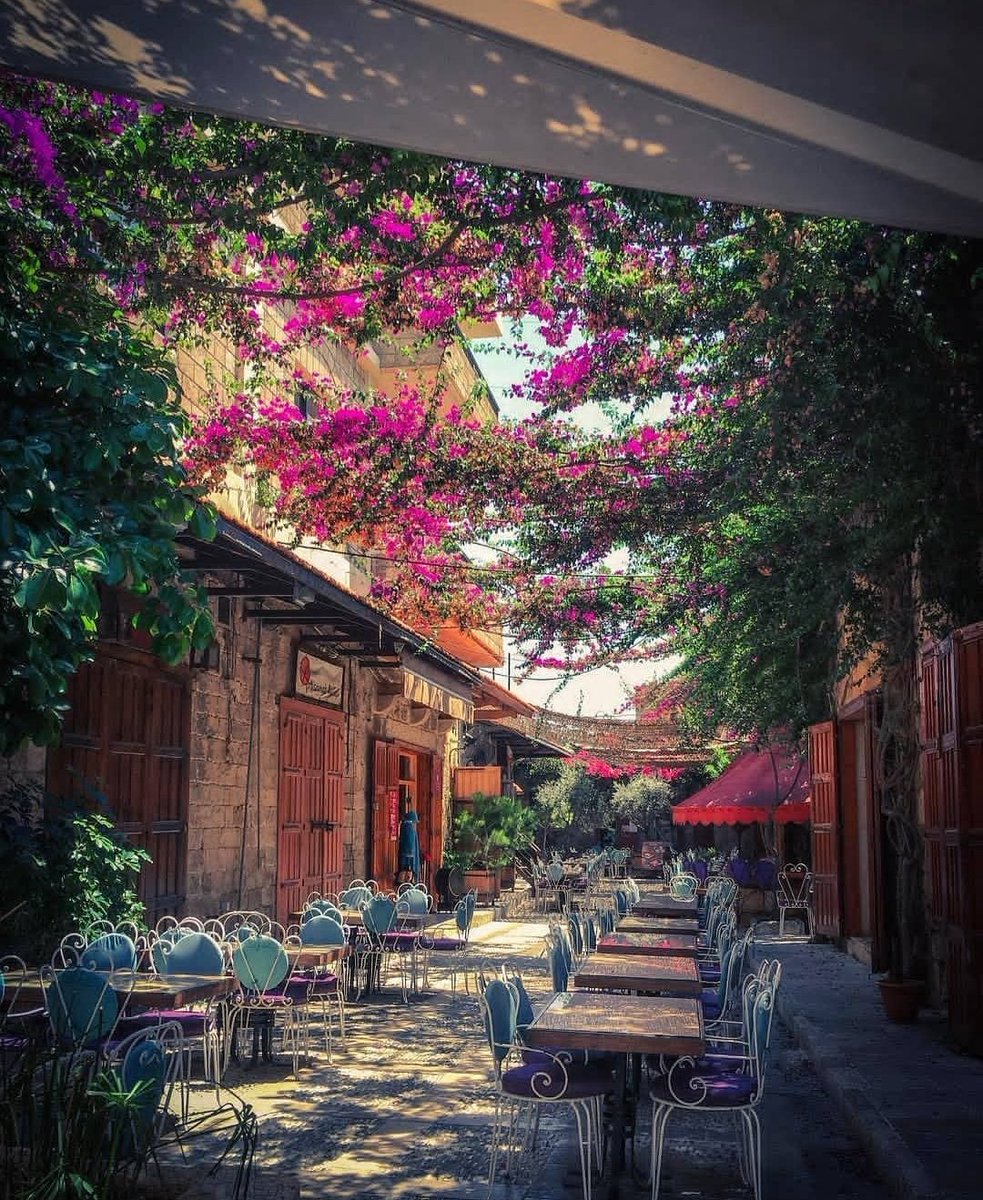 amira_obeid's tweet photo. Byblos, Lebanon 🩷🌸 https://t.co/tl5EkBEbef