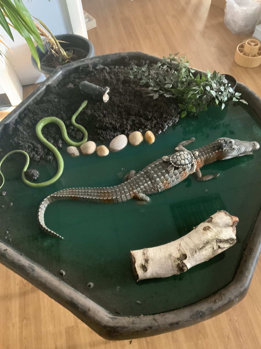 A very interesting swamp has arrived in class today! I wonder what our class story is this term. <a href="/Halsneadschool/">Halsnead Primary School</a>