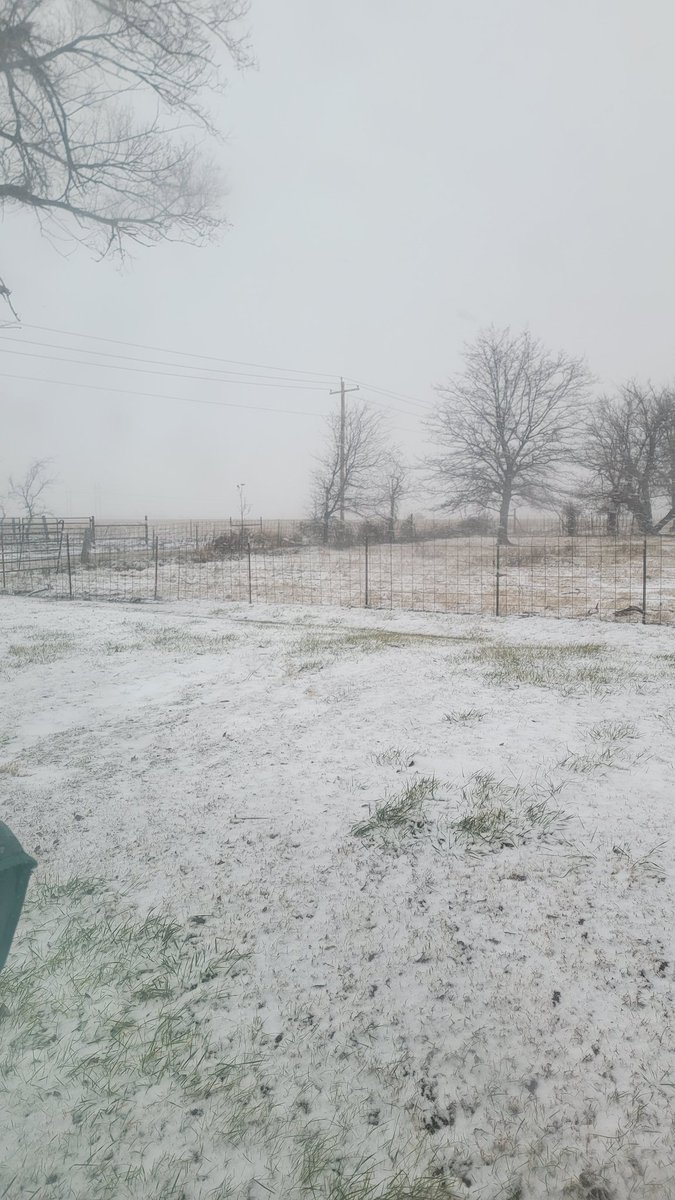 LoganT1997's tweet photo. @MikeCollierWX @newson6wxguy
Views from between Pryor, OK and Salina, OK at 8:33am
#okwx #OMGSnow https://t.co/QxC3zOWzT5
