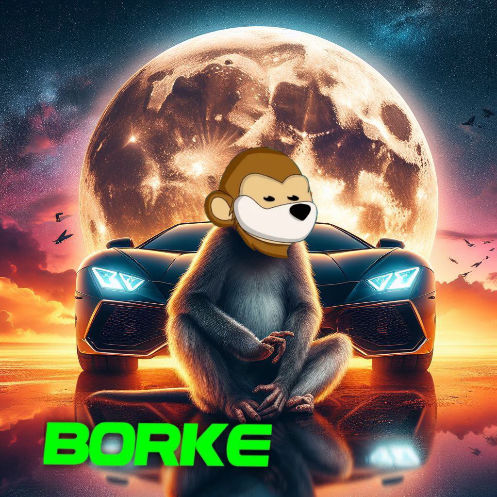 BorkeSol's tweet photo. Optimistic about the bright future of $BORKE! Keep investing with confidence and hold on to achieve success. #BuyAndHodl 💼🚀 #BORKE https://t.co/XwMAjXHwde