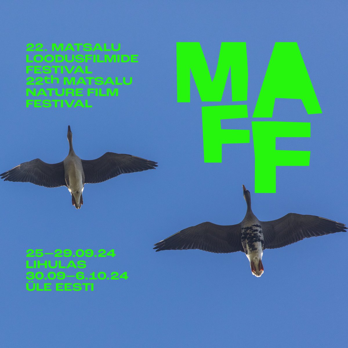 📢 <a href="/matsalufilm/">Matsalu Nature Film Festival</a> 2024 CALL FOR ENTRIES IS OPEN!

We're seeking your wildlife and environmental films! Deadline 1/5. 🎬💚📽️

➡️ filmfreeway.com/matsalufilm 

#nature #wildlife #wildlifefilm #naturedoc #environment #filmfestival #callforentries <a href="/Wildlife_Film/">Wildlife Film News</a> <a href="/fest21/">Filmfestivals.Com</a> <a href="/FilmFreeway/">FilmFreeway</a>