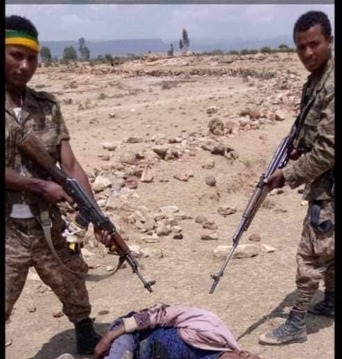 Schools are closing in #Tigrai because of war induced famine. #Ethiopia maintains siege on Tigray and #Amhara &amp; #Eritrea are forcefully occupying fertile farmlands, villages &amp; towns, meanwhile 2.2 million people are displaced from the occupied areas.