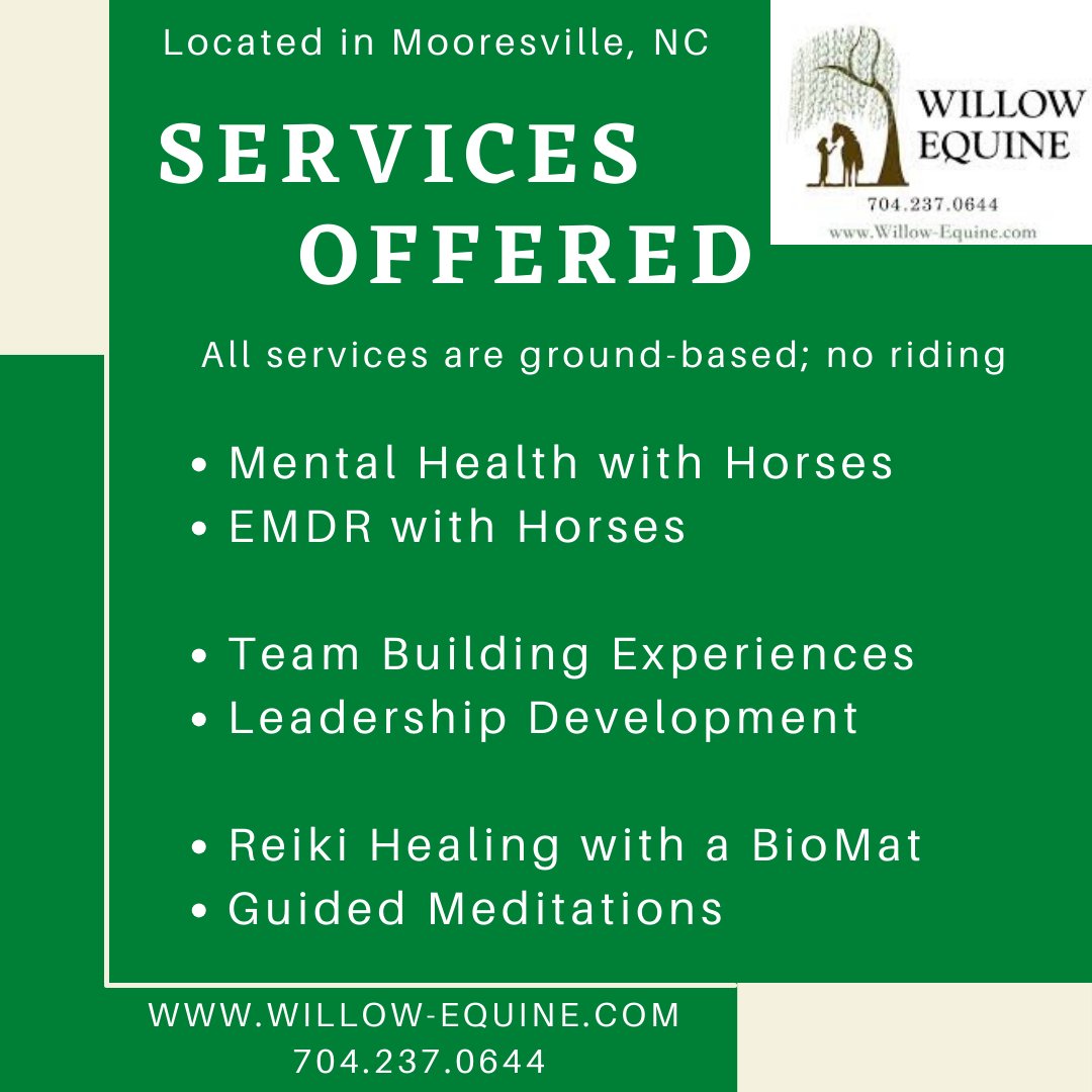 KatiStankiewicz's tweet photo. Are you eager to go on a more profound and swifter journey for healing? YES

Willow Equine offers an innovative approach to counseling, leadership &amp; wellness. Experiences with horses generate more effective transformation faster! 

https://t.co/hqPIXMCY9y
https://t.co/gVB0AaZE13 https://t.co/YpMjtUEx1U