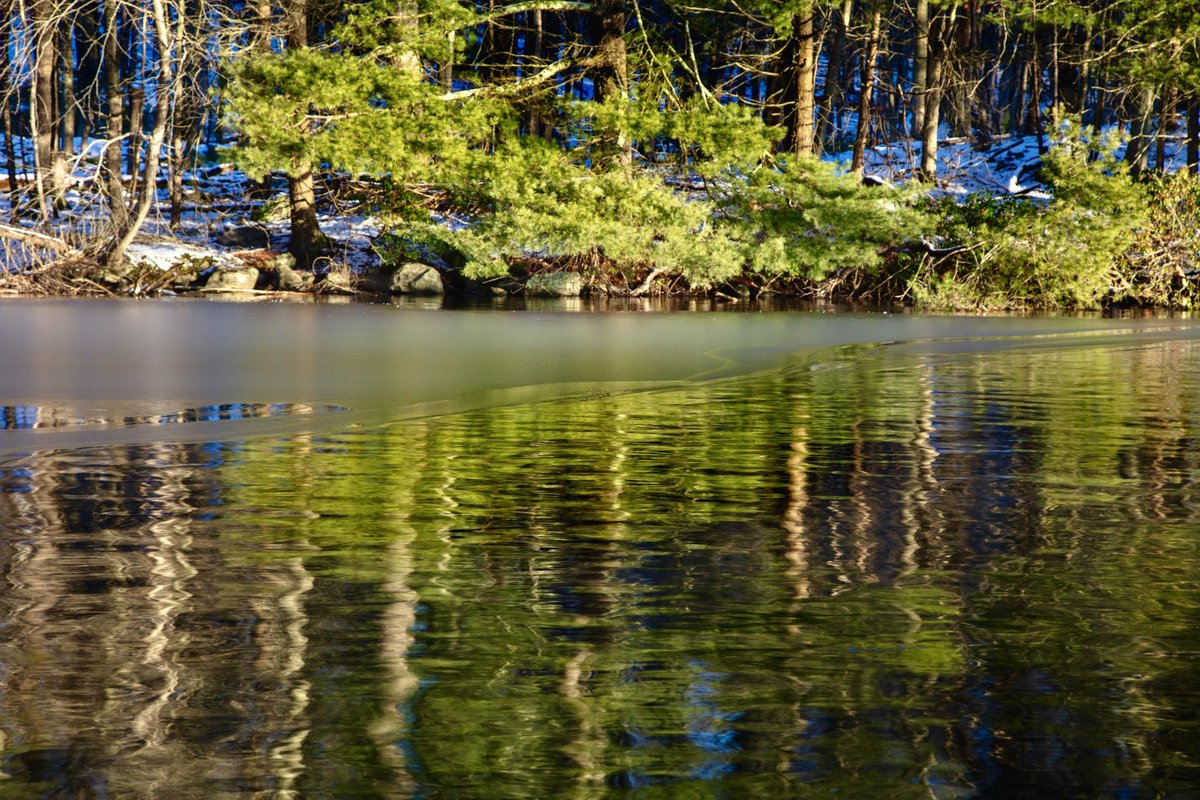HansKLinderoth's tweet photo. Exposures & IRND filters capturing diminishing expressive colorful reflected light on dusk approach  at Centennial Watershed State Forest, Easton, Connecticut side of Saugatuck reservoir. 1.8.24

#hiking #outdoorphotography #landscapephotography #newenglandlife #connecticut #fairfieldcounty #ilovenature  #longexposurephotography #hikingadventures #landscapesoftheworld #newenglandwinter #canon #eos5dsr #ef24105f4l #leefilters #wild-nature  #outdoors #naturephotographer #enchantedforest #outdoorlife #naturepreserve #canonphotography 
#outdoorsadventures #reflection #waterreflection #dusk #winter #ilovephotography # #atmosphere