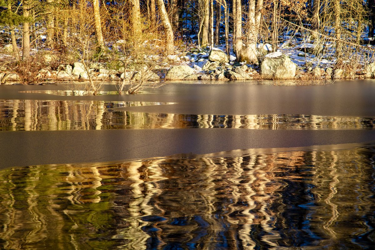 HansKLinderoth's tweet photo. Exposures & IRND filters capturing diminishing expressive colorful reflected light on dusk approach  at Centennial Watershed State Forest, Easton, Connecticut side of Saugatuck reservoir. 1.8.24

#hiking #outdoorphotography #landscapephotography #newenglandlife #connecticut #fairfieldcounty #ilovenature  #longexposurephotography #hikingadventures #landscapesoftheworld #newenglandwinter #canon #eos5dsr #ef24105f4l #leefilters #wild-nature  #outdoors #naturephotographer #enchantedforest #outdoorlife #naturepreserve #canonphotography 
#outdoorsadventures #reflection #waterreflection #dusk #winter #ilovephotography # #atmosphere