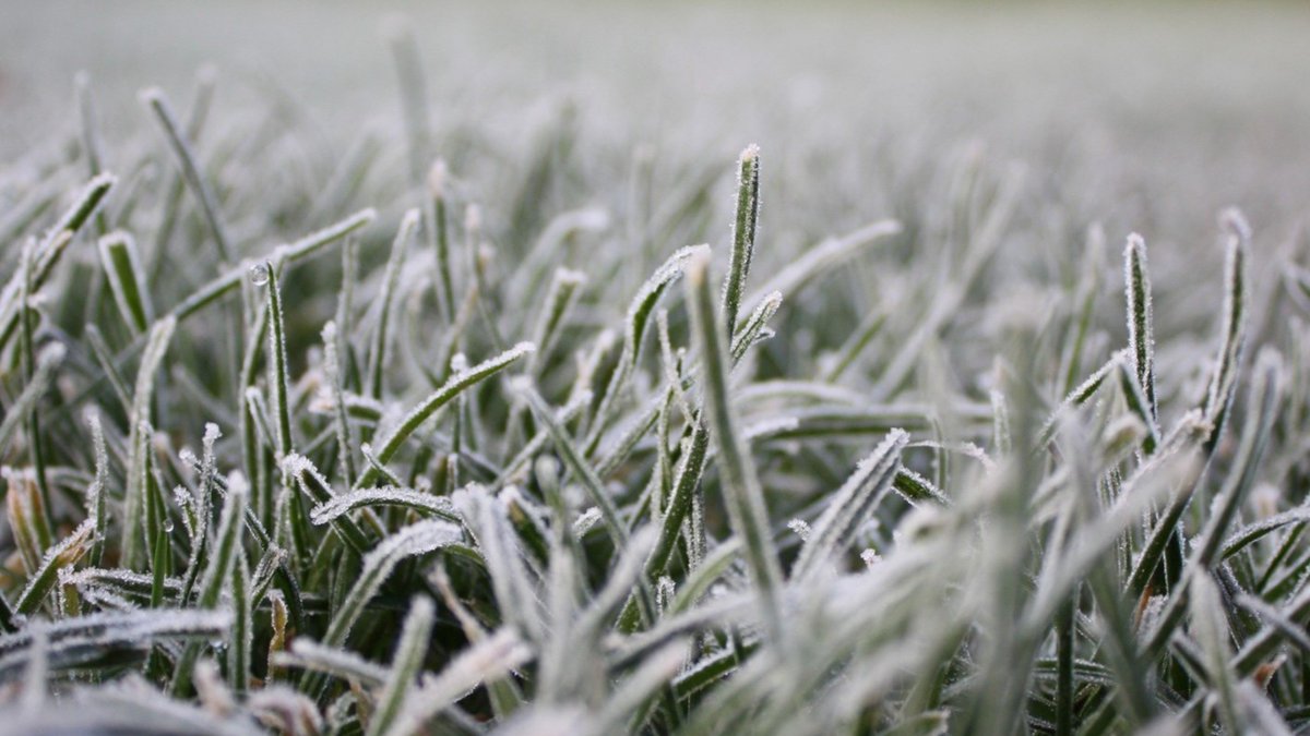 FruitflowPlus tweet media