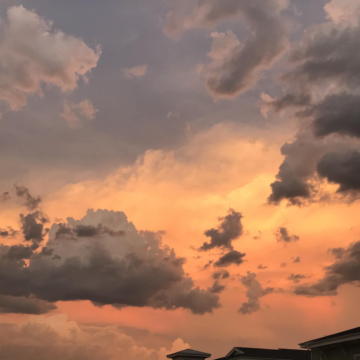 MarioOl25273239's tweet photo. Un cielo que enamora, un cielo hermoso 😍
#sunrise #sunset #nature #photography #sky #landscape #sun 
#naturephotography #tramonto #travel #love #clouds #ig https://t.co/mPIsg64wmW
