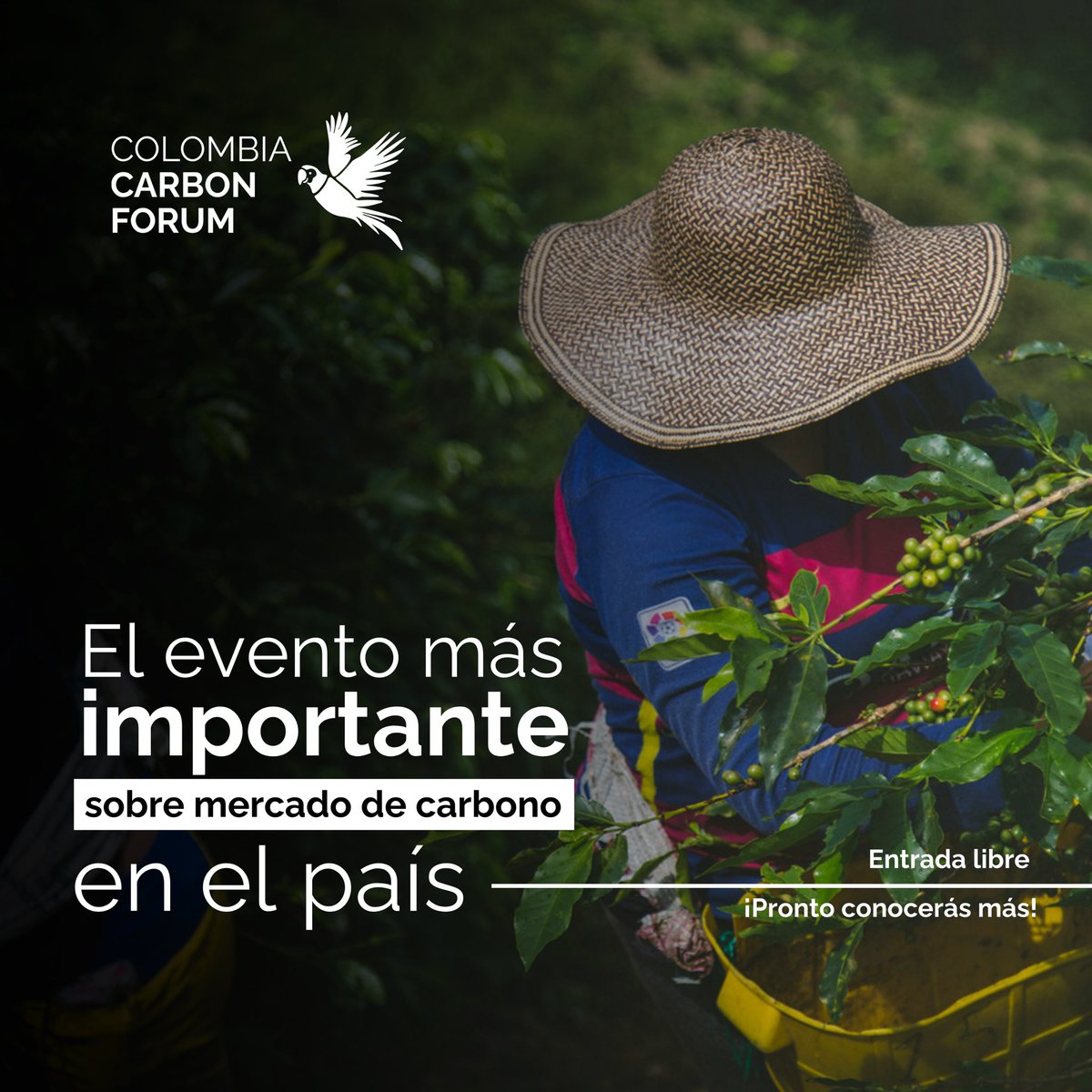 Ambiente y Comunicaciones tweet media