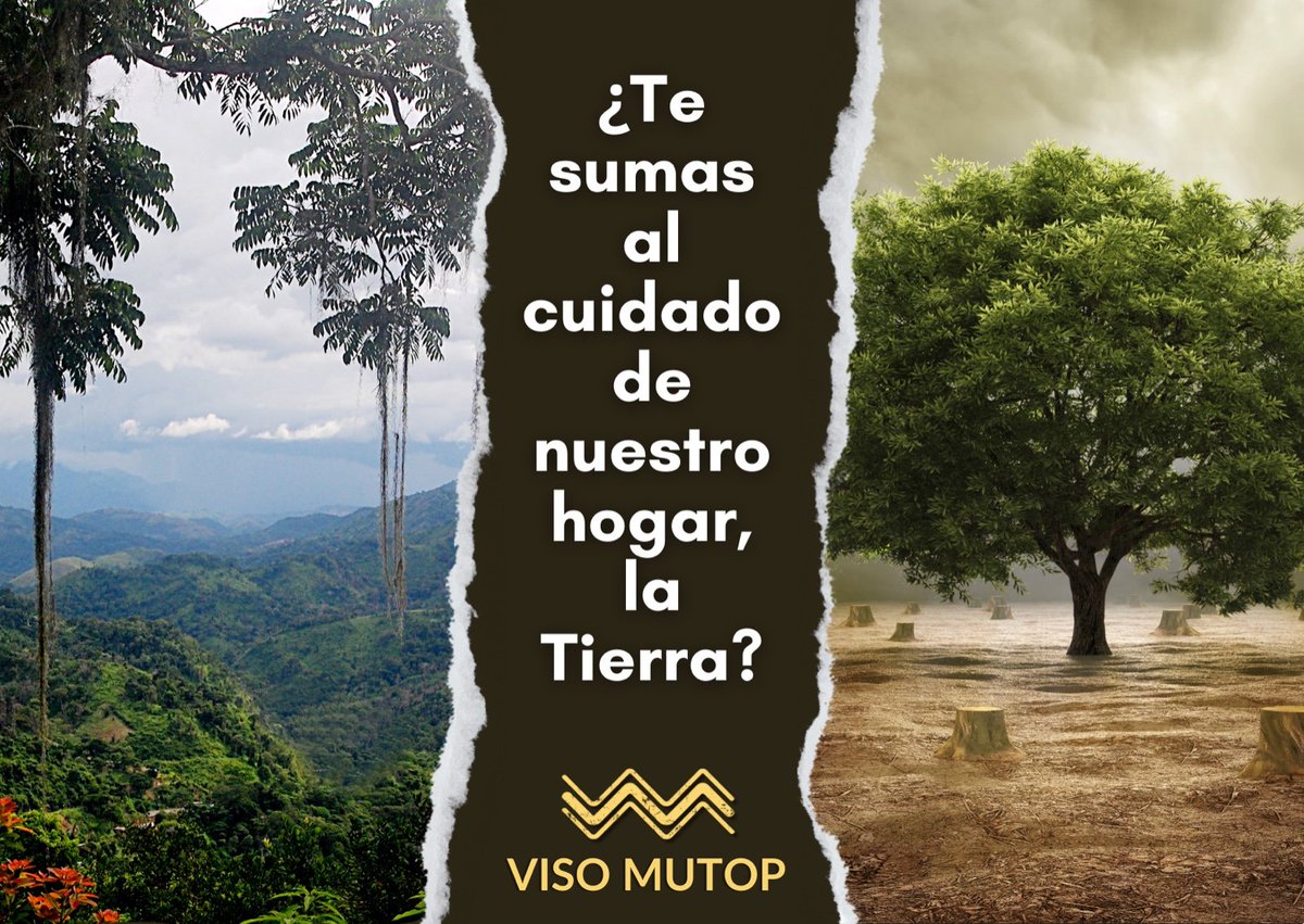 visomutop's tweet photo. Más que una organización, somos un movimiento de las comunidades, social, solidario y ambiental. Únete a #VisoMutop, donde cada acción cuenta. https://t.co/S29kHn7wwT #MovimientoVisoMutop #MedioAmbiente https://t.co/77njk9MJv7