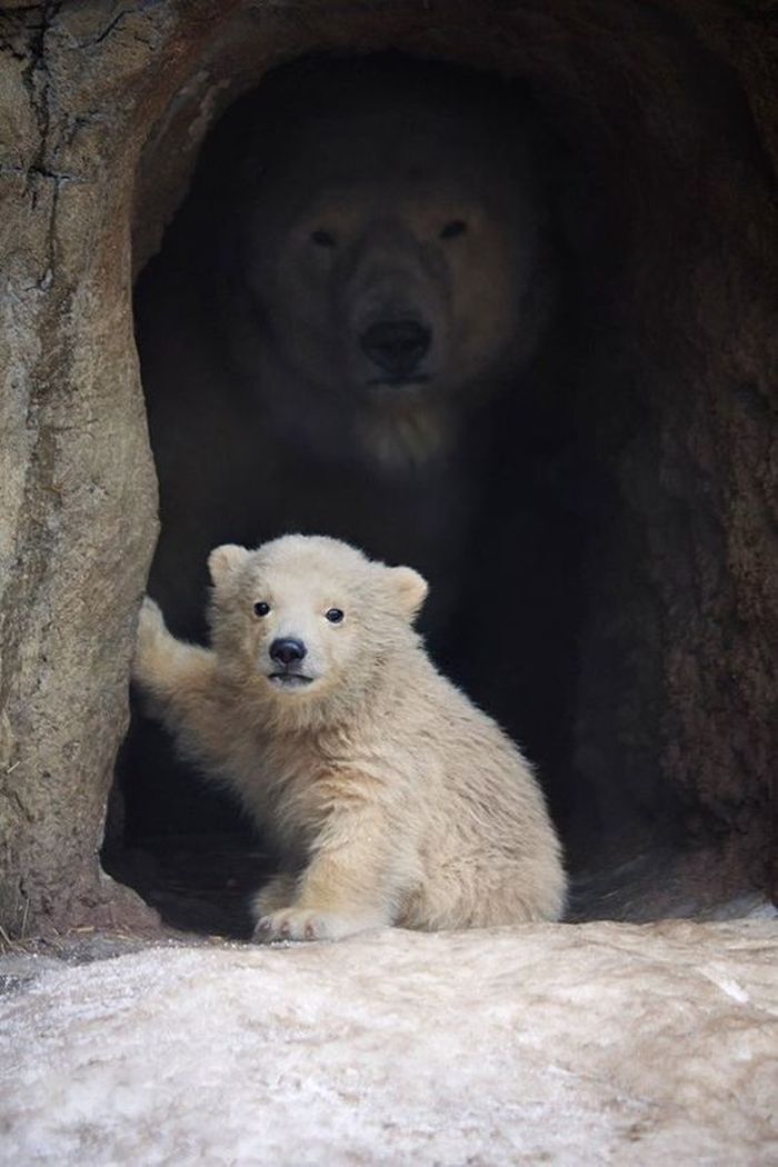 아미쳣나 개웃기네ㅠㅠ