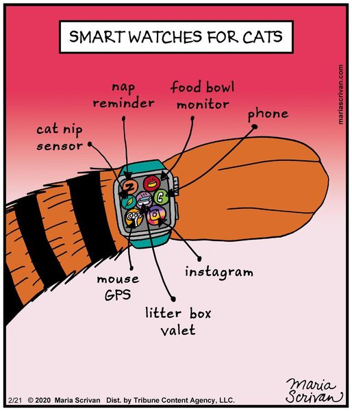They seem to work well for us🐱