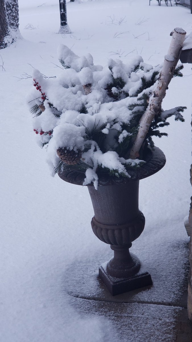 winstonX tweet media